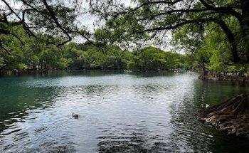 Plataforma para clavados