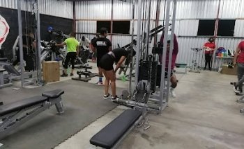Gorilla GYM
