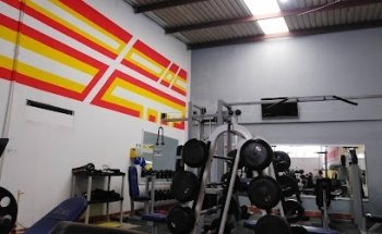 Max Gym
