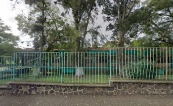 Alberca del IMSS