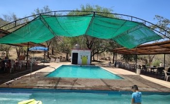 Albercas Los Flamingos