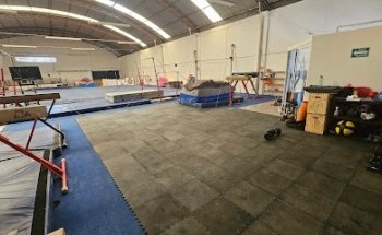 Aereum Gymnastics