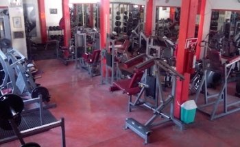 Gym Tiger