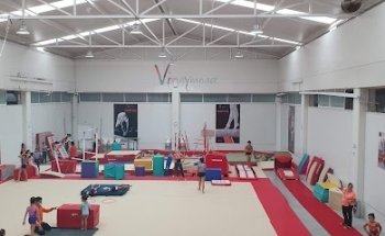 Vi gymnast