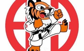 TIGRES NEALTICAN, KARATE Y DEFENSA PERSONAL, ENTRENAMIENTO FUNCIONAL
