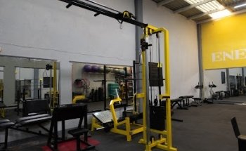 EvolFit