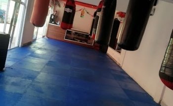 Box Training Dolores