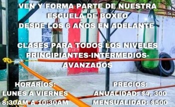 Warrior's Boxing Club