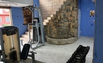 Champion's house gym