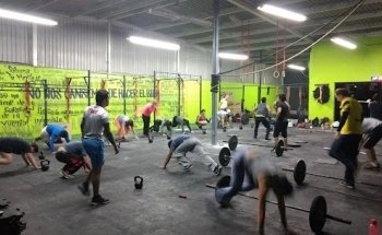 Bufalo FUERZA Y ACONDICIONAMIENTO