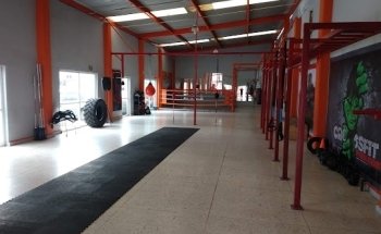 GYM Sparring KO BOX