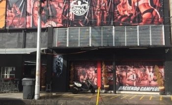 Arnol's Gym