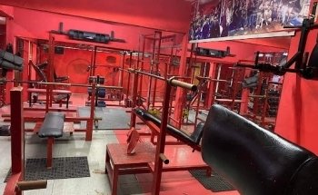 Shark Gym Mixto