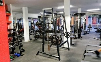 GYM Sport Bravo