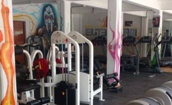 Gym Elite Team Pro Santa Cruz Acalpixca