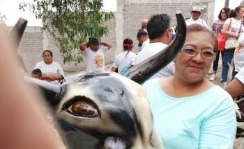 Gimnasios Urbanos 299