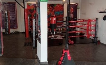 Box Castilla