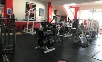 Tigre Negro GYM