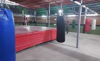 Gimnasio de BOX (Boxing wolves)