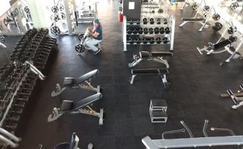 Gym&Fitness