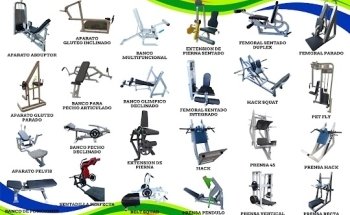 Enyolsgym