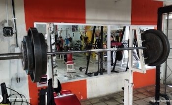 Wolf Gym Tonalá