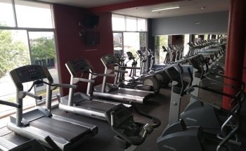 Majeco Wellness Club