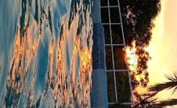 Albercas de don goyo