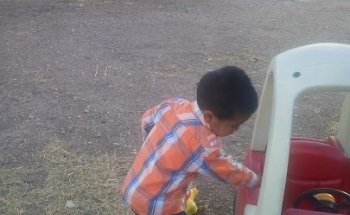 Albercas El Sapo Verde