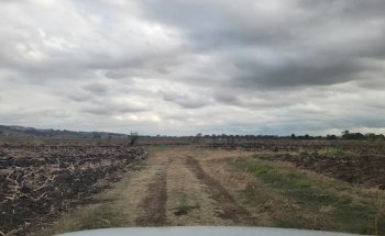 Humedales Comitán “La Cienega”