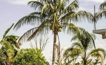 Balneario La Parcela