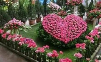 AVIOS DE ALBERCAS SA DE CV