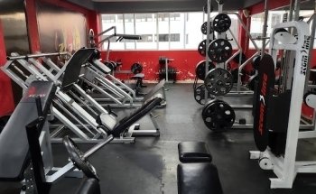 GYM 300´s en formación