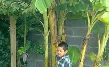 Quinta los carnales