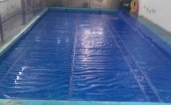 Aqua Lu Natación