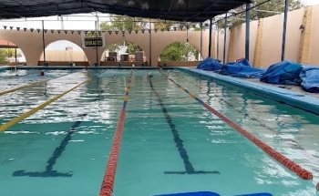 Dorados Natación