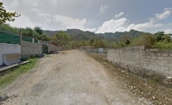 Terraza La iguana feliz