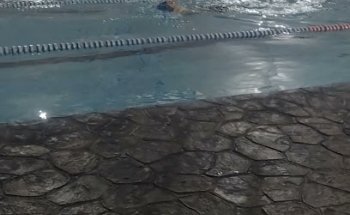 Natacion Splash