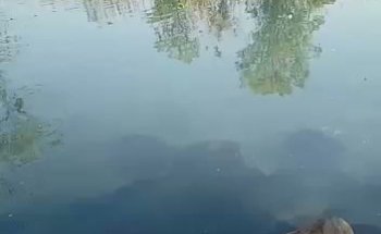 Laguna De Agua