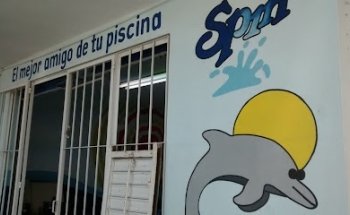 Spin