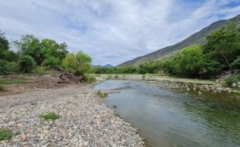Rio Picachos
