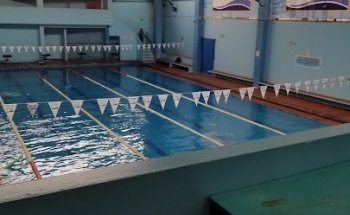 Evolution Bucki Fitness