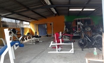 Tigro's Gym