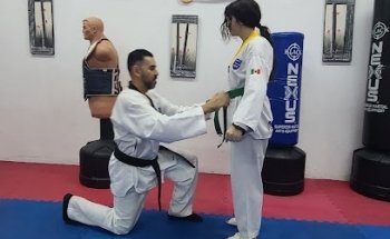 TAEKWONDO Y KICK BOXING DOJANG ELITE