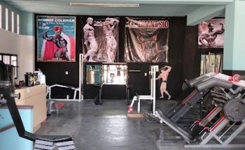 Wolf's Gym