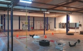 MEXA Gimnasia Artistica