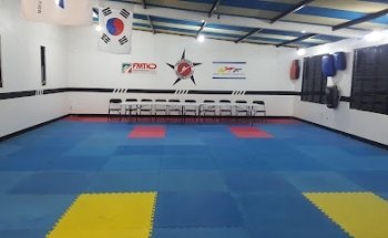 Tae Kwon Do Panamericano
