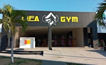 ALFA GYM