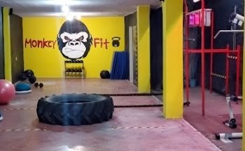 MonkeyFit