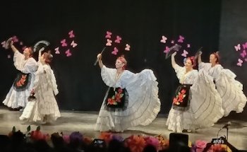 Casa Cultura